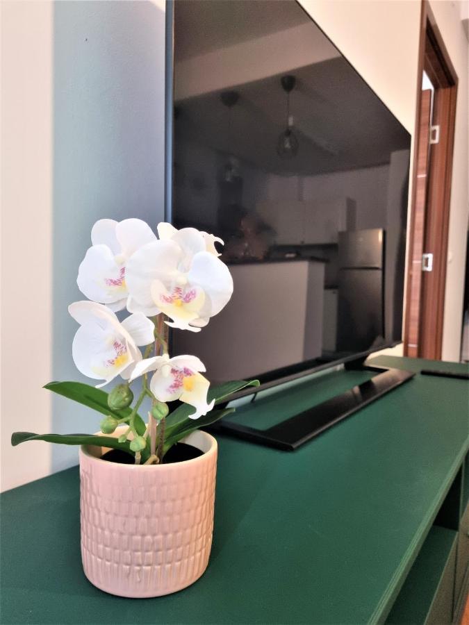 Summer Onix Mamaia Nord Apartament Năvodari Екстериор снимка